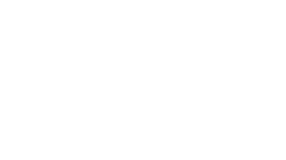 Logo for: Pepsi MAX